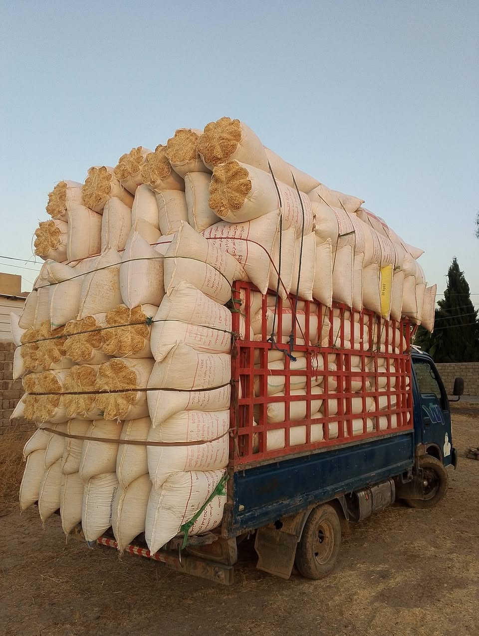 يوجد تبن للبيع
حجم 60. تبن رقم واحدة.واصل للبيت.
***********
