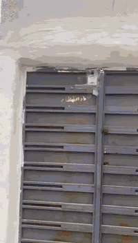 سلام عليكم بيت تجوز في منطقة بغداد الجديدة الف دار ٠٠٠ اتصل او استفسار ***********
