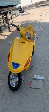 فراشة فحل • نضيفة • بلقاسم