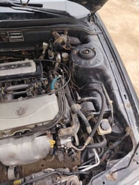 سوناتا تو • ابوغريب • رقم كركوك