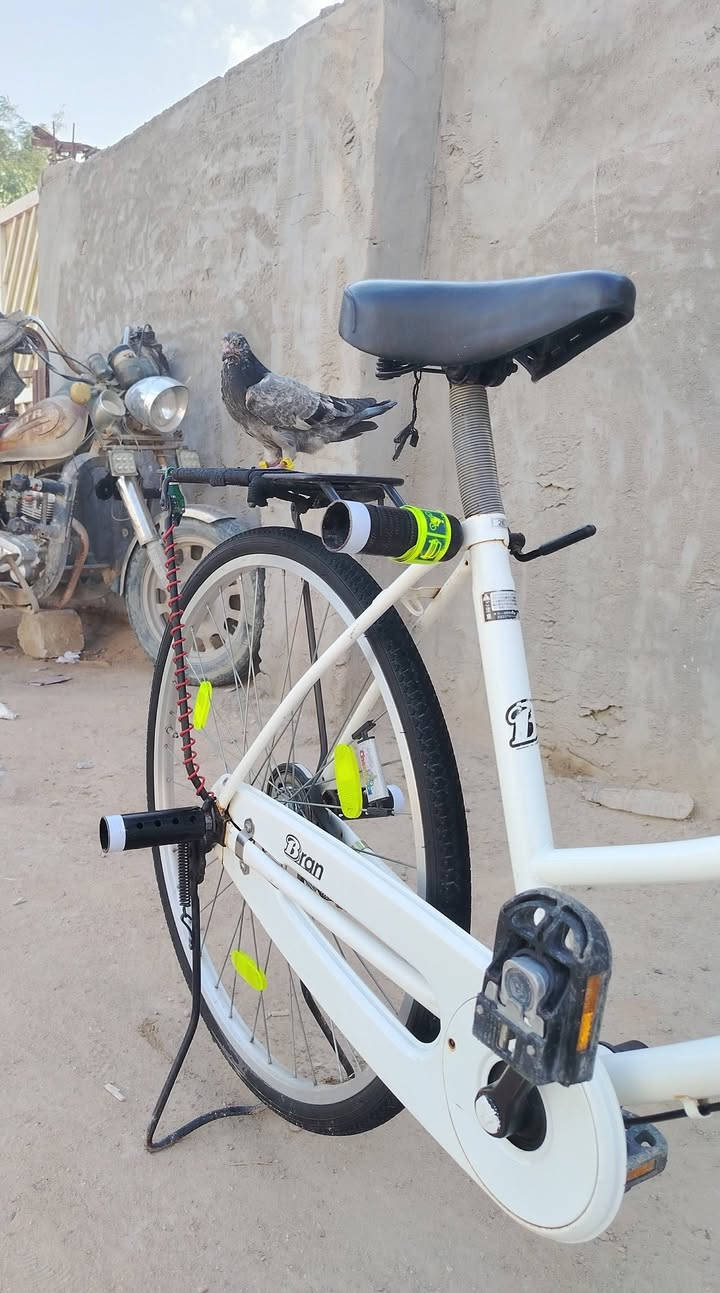 السلام عليكم بايسكل للبيع السعر مناسب مراوس السعر خاص نجف


**إذا كنت صاحب هذا الإعلان وتريد حذفه لأي سبب، رجاءا أرسل رسالة إلى الدعم الفني**