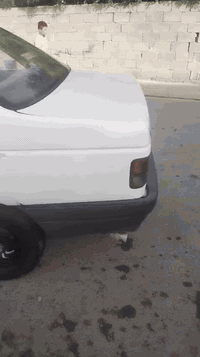 روى • ٢٠٠٩ • محرك وكير كشر