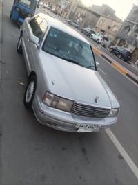 رأس ثور تكم شاصي 55طويله اصل مكفوله من الكص والنقل الجثه والضربه صبغ ش...