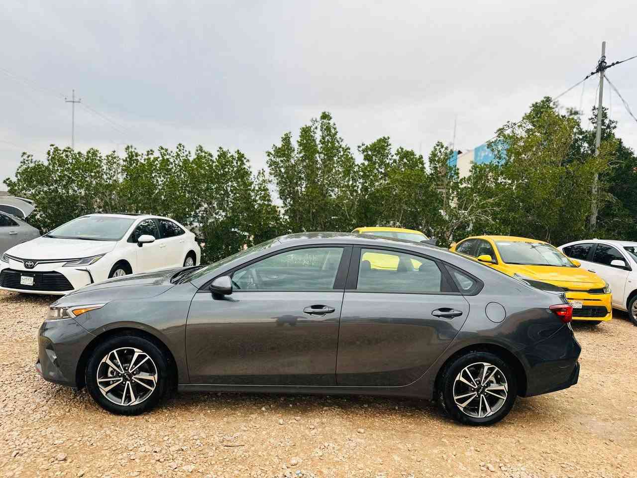 ياالله كيا فورتي موديل 2024 
امرقم شهداء مثنئ وكاله عامه بسم المشتري 
الضرر جاملغ وبنيد تبديل فقط بدون عابر شاصي لغد كفاله راديترات شركه حجر رادار كفاله مواصفات واضحه مكينه 2000 دوش السعرب 142 بيع نقدأ فقط 
اي تفاصيل واتساب ***********
السماوة الرميثه شارع عام معرض احمد ال شمران
