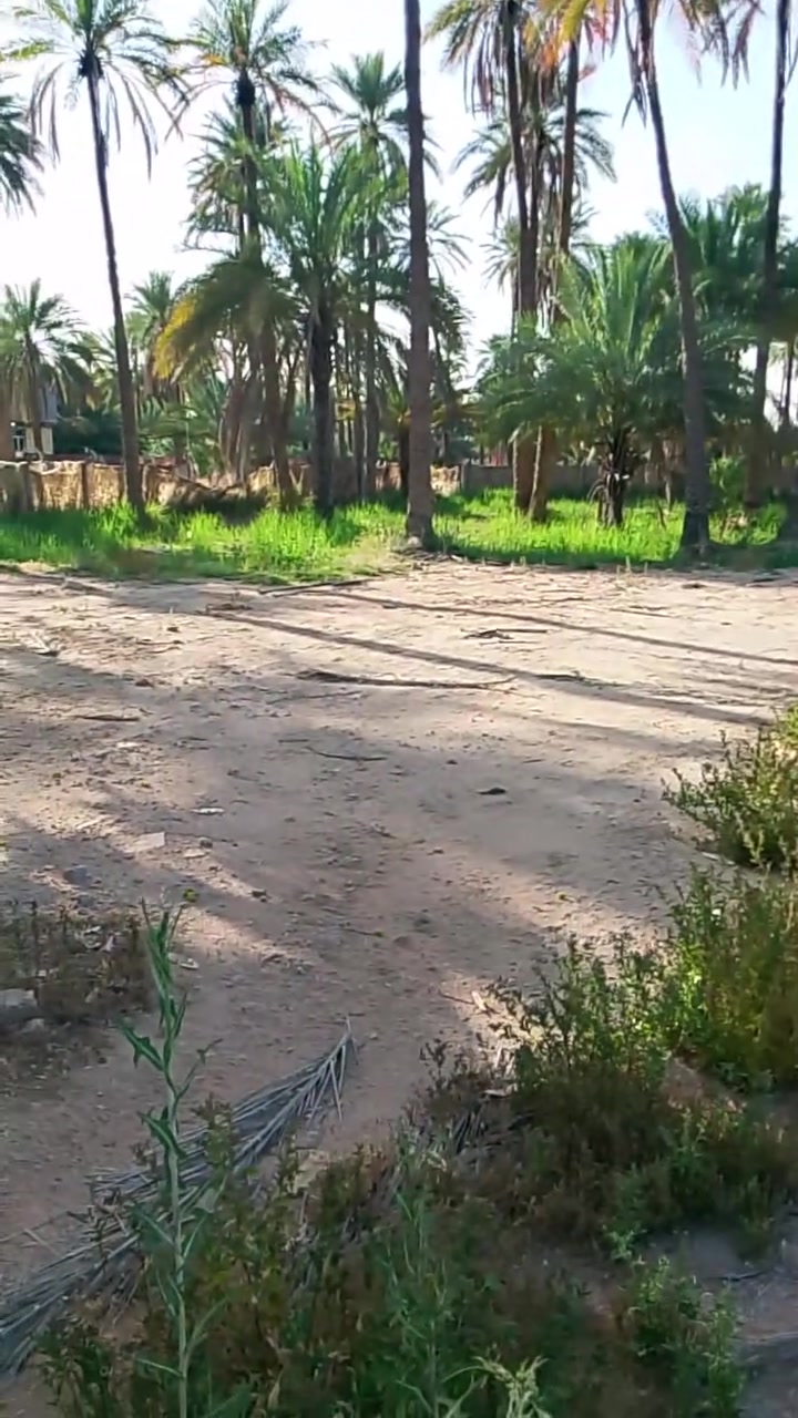 سلام عليكم دونم للبيع كربلاء الحسينيه شارع الامام عون ع سند ٢٥تحويل اسهم سعر ٣٢٥ توجد كافة الخدمات ***********
