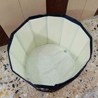مسبح • ٢٠م