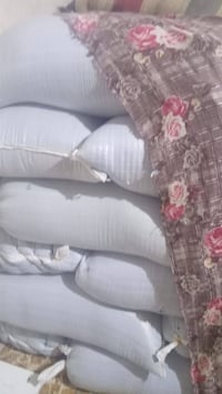 السلام وعليكم حباية مال قبق دبة مي ارو سعر الطن 1،250 راس على واتساب07...