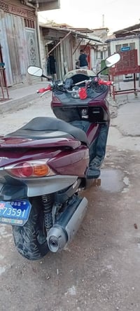 فورزه صفر • مكفوله • كراده الشراي