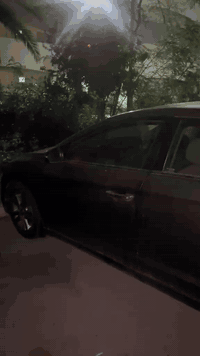 النترا فول • ٢٠١٨ • رقم بغداد