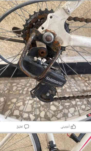 السلام عليكم ورحمة الله وبركاته بايسكل C700 ياباني مال باله بدي المنيوم تايرات جدد وسط   حجمه 28 المواصفاتت
1 رقبه متحركه
2 كير خلفي 7نمر
3 كير أمامي 3نمر 
4 دبل امام بس دهن يحتاج شغال 100%100
5 مستوى النظافه90%100
6 لون ابيض 
7 المكاين ثنينهن شركه شاومي

خوذه اصليه لون رصاصي
السعر  130 
المكان بغداد السيديه
للتواصل *********** على الرصيد فقط  يوجد واتساب
ومتواجد على الماسنجر
