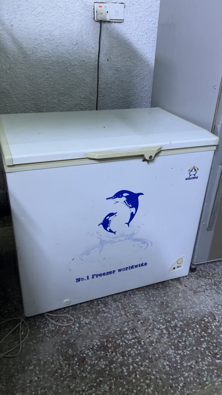 مجمده 12قدم ع فحص تجميد خير من الله 175الف بغداد المشتل


**إذا كنت صاحب هذا الإعلان وتريد حذفه لأي سبب، رجاءا أرسل رسالة إلى الدعم الفني**