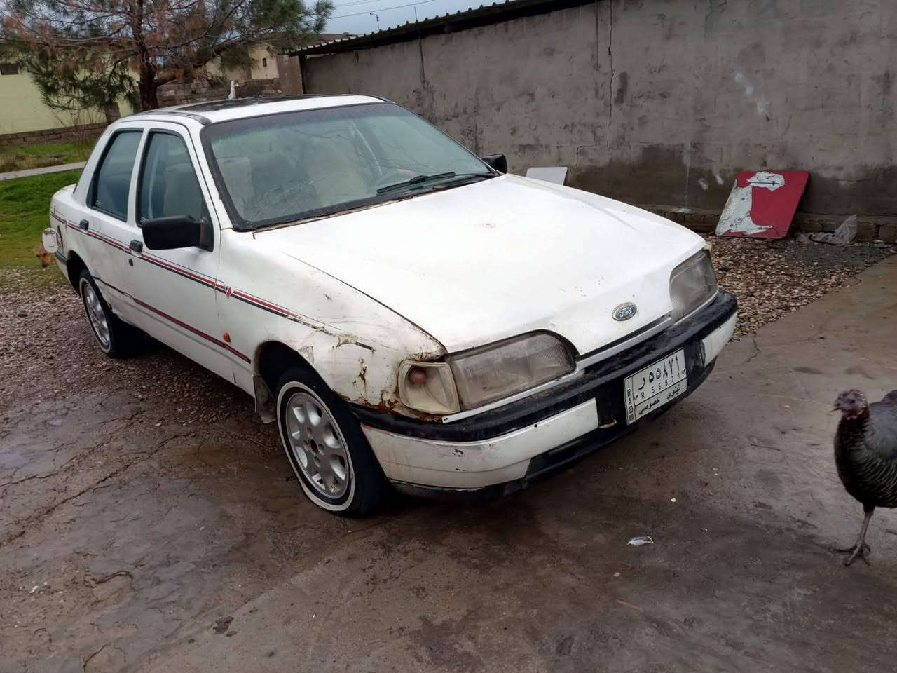 فورت كم شفت واحد رقم مشروع وطني 
سنويه خضره نظيفه السعر 13، ***********
