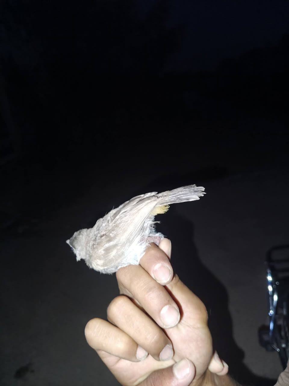 مخلف البيع سعر 20.     ***********
