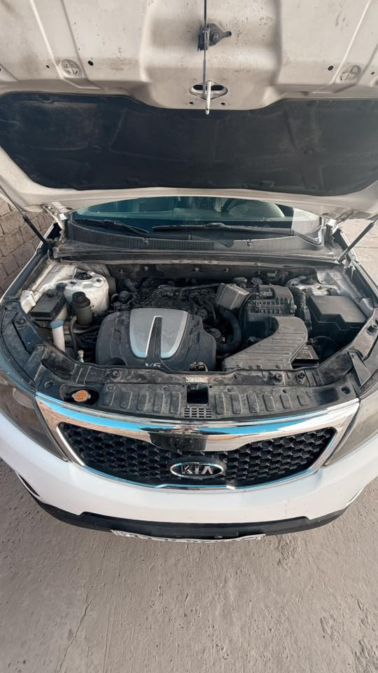 يا الله.
كيا سورنتو. 2012.    رقم  بغداد دولي.  
سنوية وهزة ورقم كلة جديد.        تحويل مباشر 
مكينة. 6 سلندر   مابيها اي.  خلل صافيه .
وارد كويتي المرغوب
فقط قطعتين صبغ باب السائق والخلف السايق 
مواصفات.   فول. مع البنوراما.     
بصمة.   7 راكب.   ثلاث. قطع تبريد ثلج . 
 داخل. صاج. 
 ويل كروم.  
حساسات.  خلفية.
  شاشة وكامرة خلفية.     بچم زنون. 
  داخل. جلد. 
 تحكمات جهتين.
 اشاير بل مري. 
للبيع   الاتصال 
*********** 
 مكاني صلاح الدين بلد
السعر 160$ وبيه مجال
