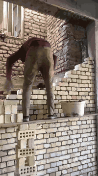 سلام عليكم تم توفير كادر مصري لبناء الطابوك شغل درجه اولا تسليم مهندس بلأسعار الماسبه *********** بي وتساب
