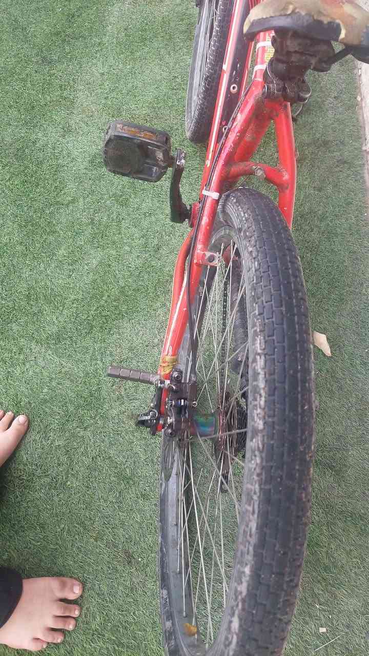 السلام عليكم شباب بسكل ستعراضي جيتي فريم sدبل غاز شترن ركبه ستعراضي ستم شيموانو ٢.٨ بطيخه سبع لون زوج بايك م فول محور دسكات لبايك معروض ٢٨٠ بي مجال حك جيه


**إذا كنت صاحب هذا الإعلان وتريد حذفه لأي سبب، رجاءا أرسل رسالة إلى الدعم الفني**