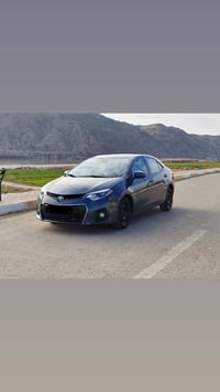 كورلا خصوصي • خط يومي • اعراس