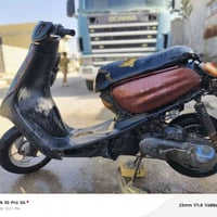 دراجه منغولي • ناصريه مركز زيناويه