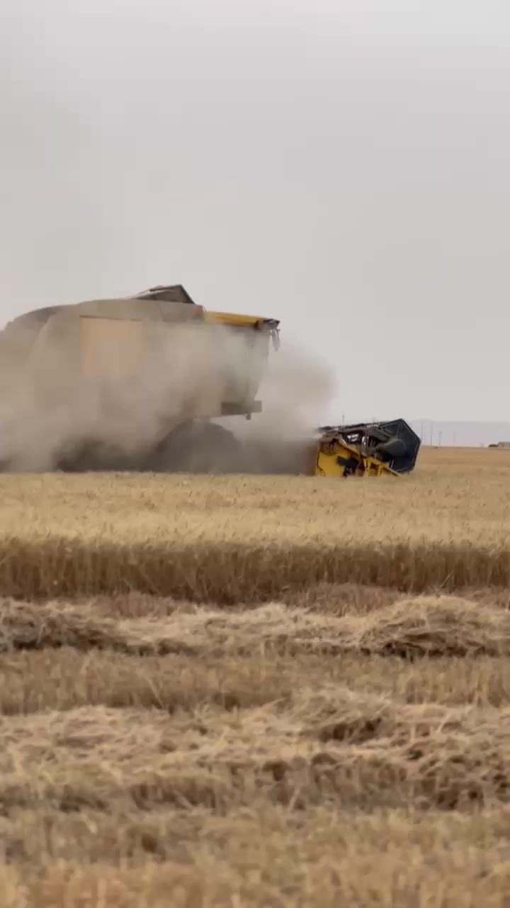 السلام عليكم حاصدة للبيع موديل 2020
خمسة بلم اوربي فول مواصفات حجم 5.90  للاستفسار الاتصال برقم ***********
