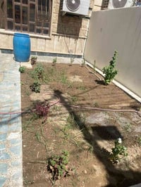 #للايجار في السيدية بيت مساحة ١٥٠ متر      ثلاث غرف نوم   صالة   مطبخ ...