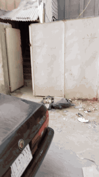 شقة للايجار • ١٠٠م • الحر يم كاتب عدل