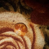 حجر عطف • مرخصة