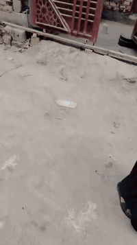 هيكل للبيع مساحة 100 م العنوان 📍 كربلاء حي الإمامين عمود 12 طريق بغداد سايد دخول يصلح سكن او حسينية الاستفسار السعري 58 وبي مجال 
***********
