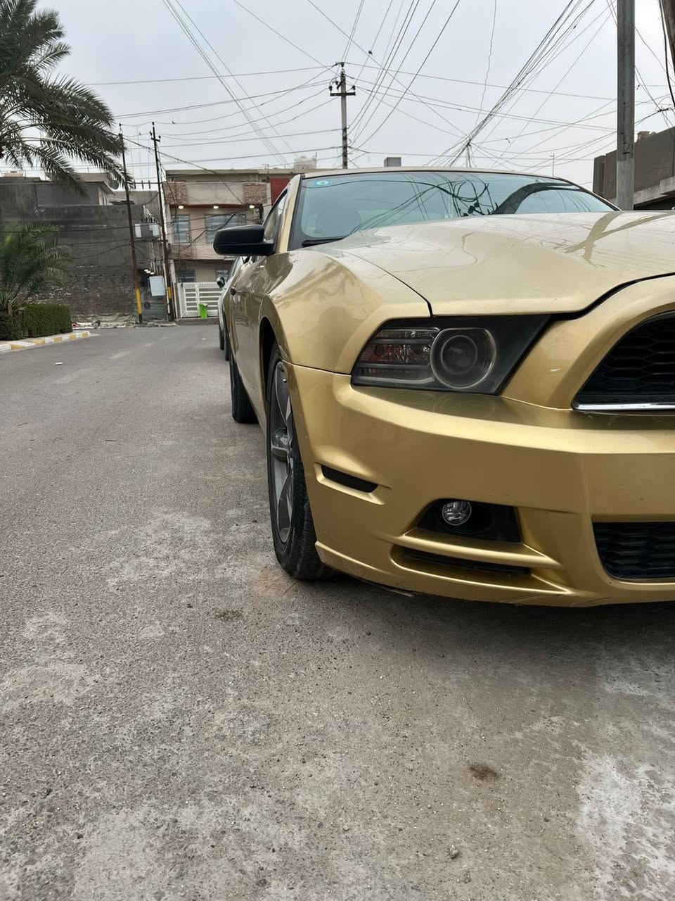 السلام عليكم
موستنك للبيع موديل ١٤ 
رقم بغداد للستفسار 
اتصال ‭٠٧٧٠ ١٧٢ ١٥٣٩‬
