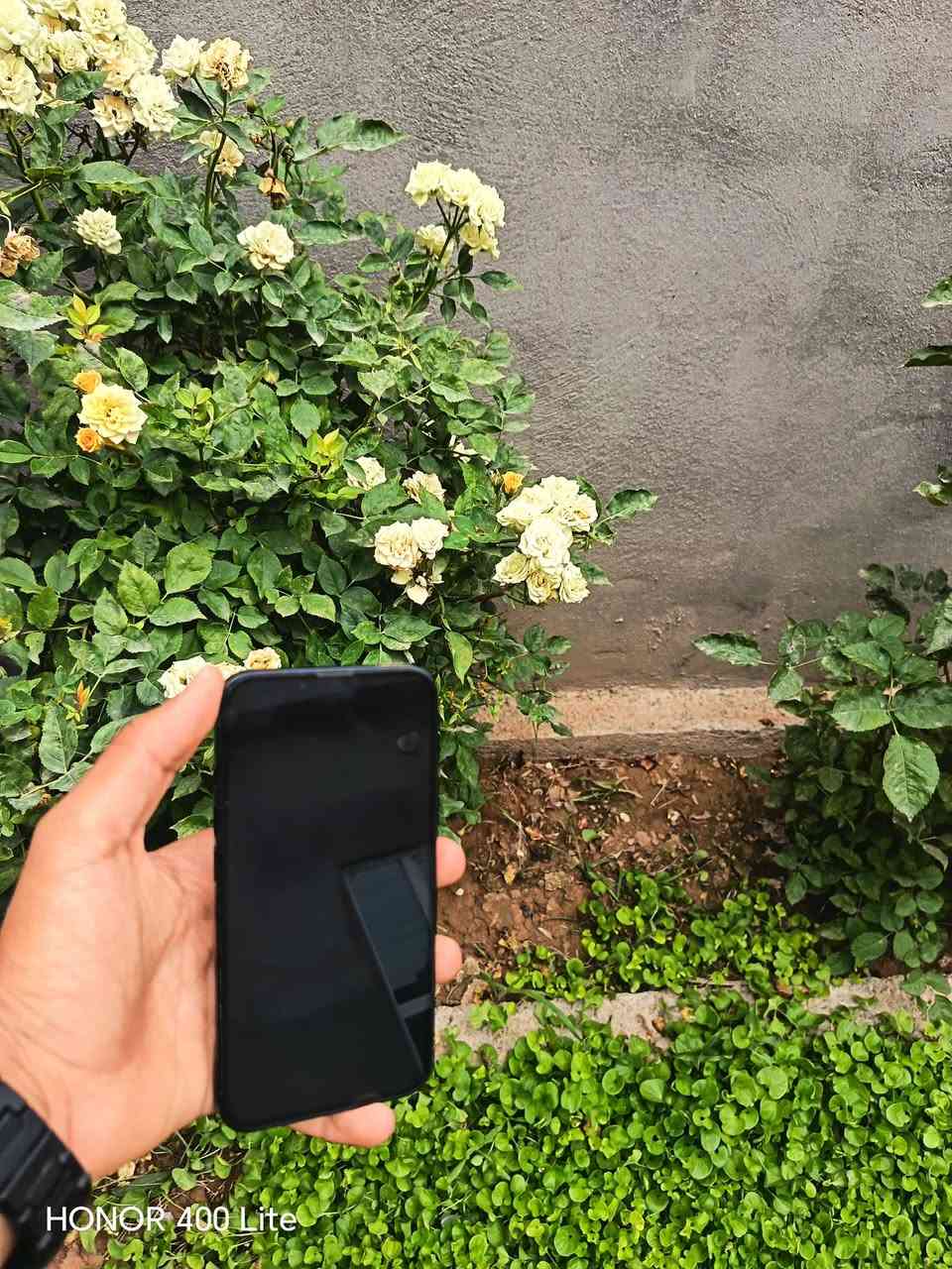 الصور تحجي والنظافه دايما lphone 13 مكاني كركوك حويجه جهاز مامضروب برقي ابد بعد حاله وكاله ***********.

