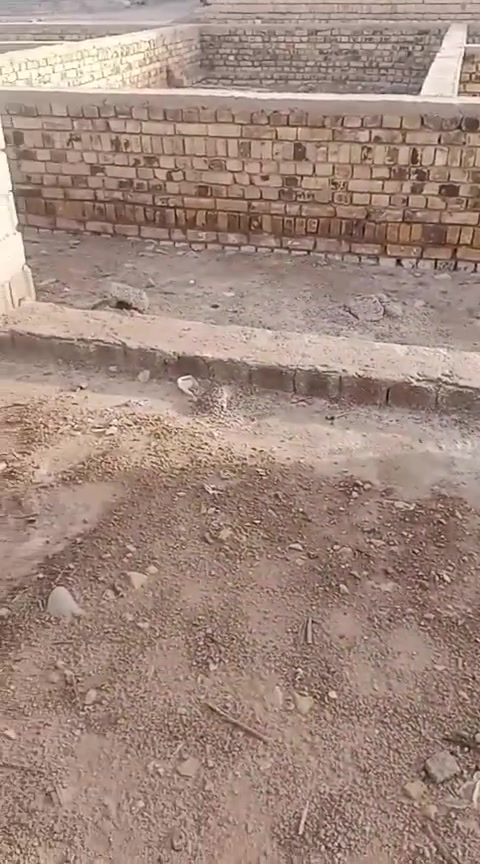 قطعه زراعي للبيع المساحه ٤٠٠ بتلو طابوك السعر ١٥ وبيه مجال العنوان حي فدك السعداويه طريق ال عواد ***********
