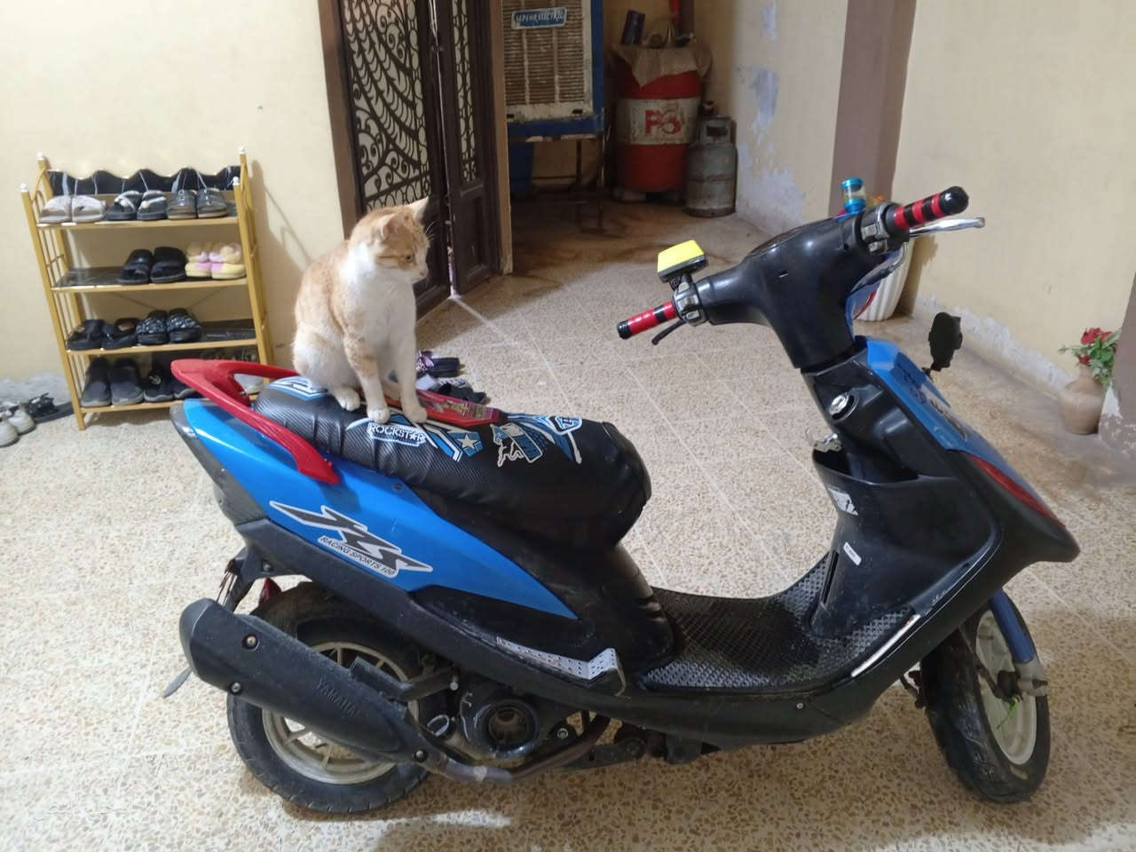 ماطور للبيع ماكس عدله نضافه فول اي عيب مابي وكهرباء شغاله بوشه 55بس سلف مايشتغل السعر 550بي مجال


**إذا كنت صاحب هذا الإعلان وتريد حذفه لأي سبب، رجاءا أرسل رسالة إلى الدعم الفني**