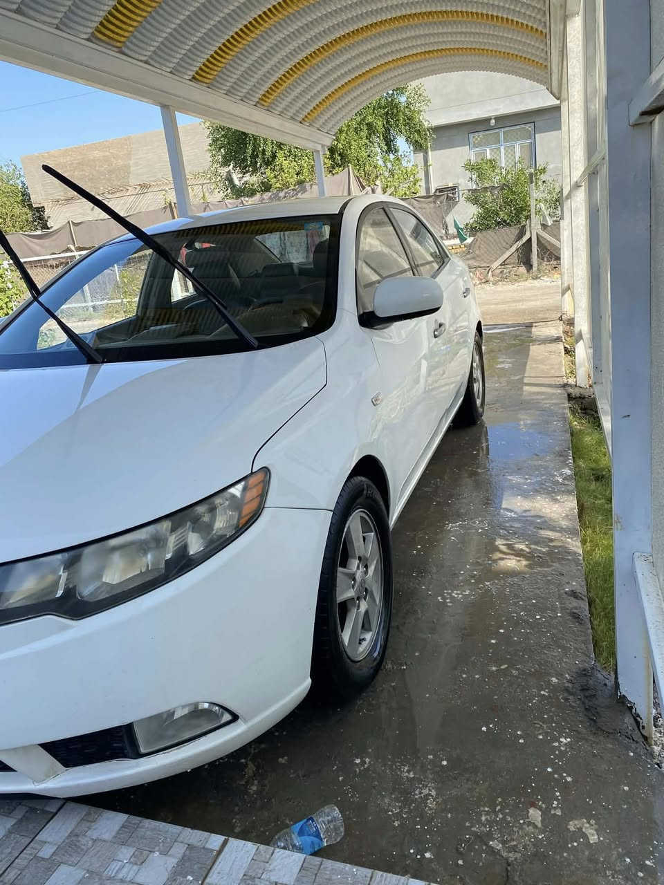 فورتي 2012 مكينه 2000. المكينه وكير مكفولات
قطعه وحده فقط صبغ جاملغ خلفي بدون دواخل بدون دواخل مكان بابل #السعر 105 وبيه مجال ***********
