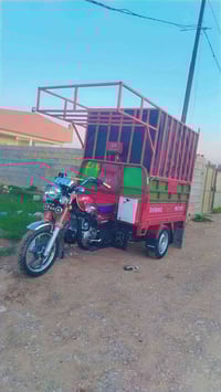 ستوته • شان بابا • ٢٠٢٦