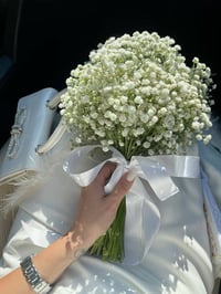 ورود • توصيل كركوك • حجز