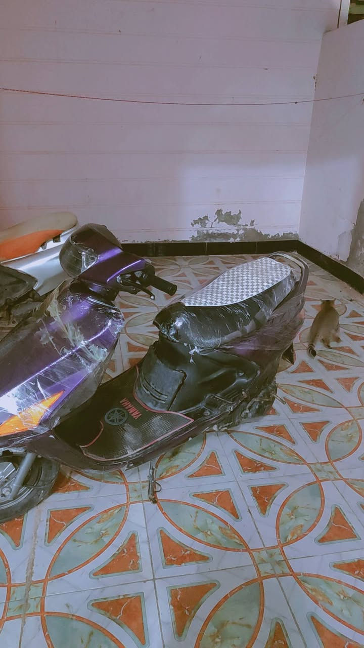 سلام عليكم دراجه فراشه البيع دراجه كدامك جاهزه كهربيات من كلشي دراجه ب350 بيه مجال
لاستفسار ‏‪0788 789 9188‬‏
