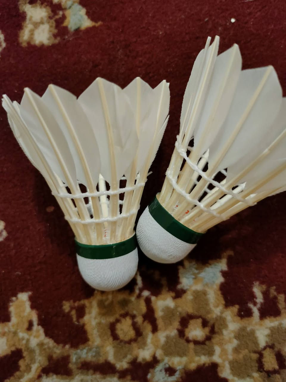 ريشة كل حافظة بيها 12
سعر الوحدة 15الف


**إذا كنت صاحب هذا الإعلان وتريد حذفه لأي سبب، رجاءا أرسل رسالة إلى الدعم الفني**