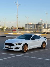 موستنك • ٢٠١٥ • في6