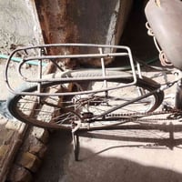 بسكليت • السنيه