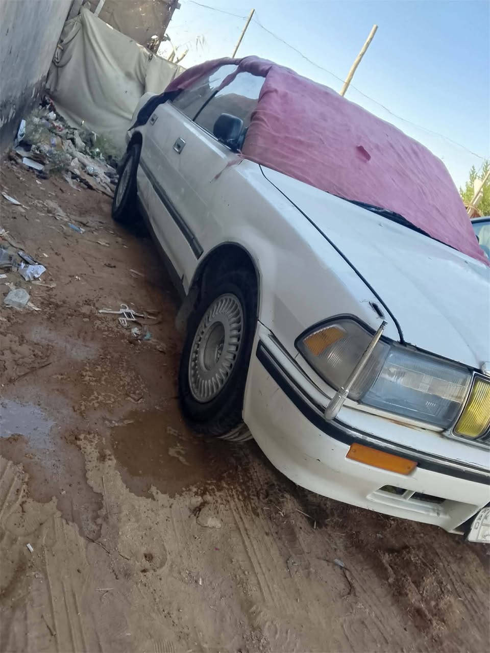 السلام عليكم شباب مراوس او بيع حسب القناعه اغاني ديوانيه‏‪***********‬‏
