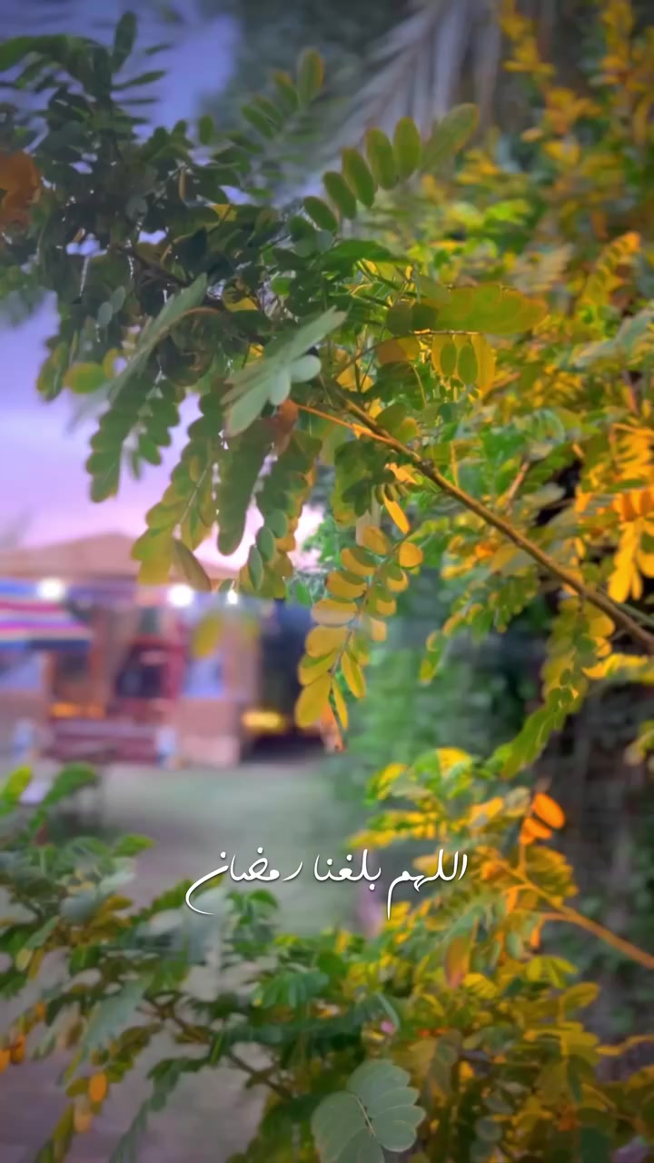 مزارع النخيل  الترفيهية ، للحجز والاستفسار مراسلة الصفحة او الاتصال على الرقم *********** .

#ترند #اكسبلور #منشن #تفاعل #لايك #تصميمي #تصميم
