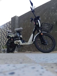 بايسكل شحن • بطاريات جدد • الرمادي