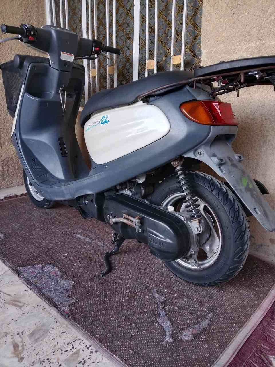 دراجة منغولي مكفولة كفالة عامة ***********
