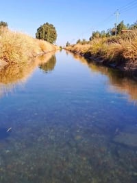 فرصه ذهبيه سعر المتر 280الف فقط يعني الدونم يطلع عليك ب 7مليون فرصه بع...