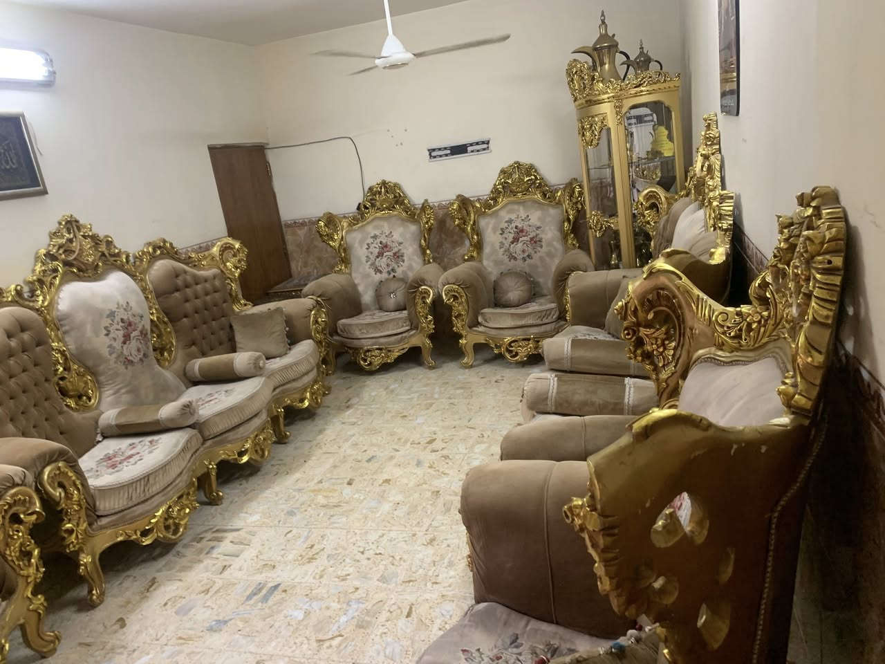 تخم زان مصري
***********
