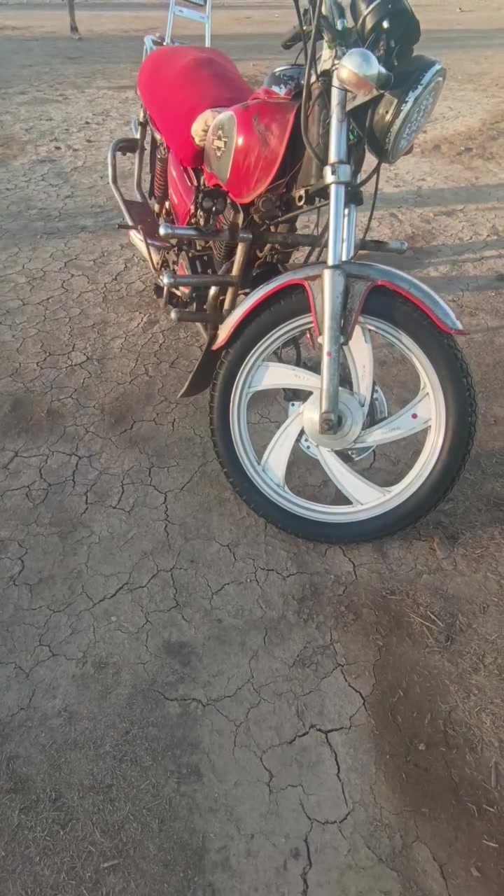 جونده للبيع ماعوزها غير تلحيضات سهله مكانها واسط الحفريه سعرها 300 وبيها مجال للطيبين للاستفسار ***********
