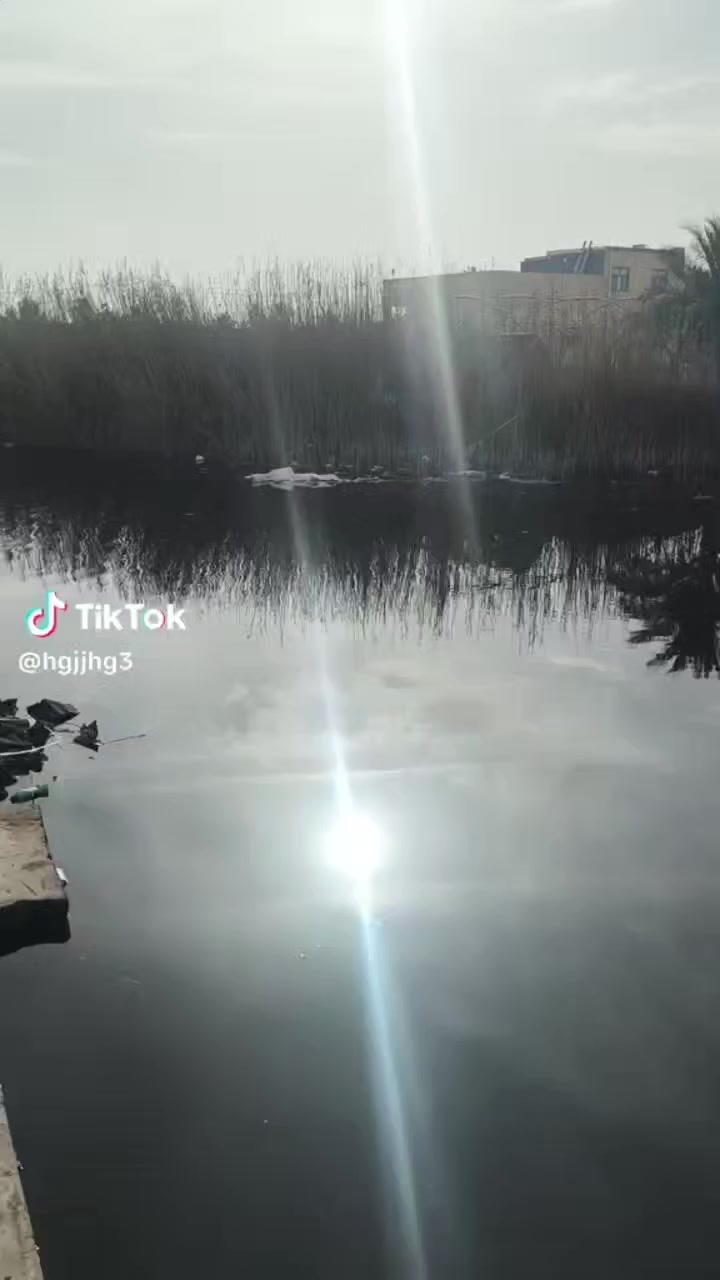 قطعه زراعي عراقي ٦٠٠ متر ع نهر ابومغيره ببوكوصره شارع الكديحيه واجهته ١٥ نزال ٤٠ بيه مسنايه كامله سعرها ١٣٠
***********
