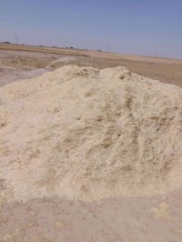 تبن عربانة • ١٧ جديد • حولى العلم