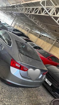 ماليبو • ٢٠٢٤ • مرقم اربيل