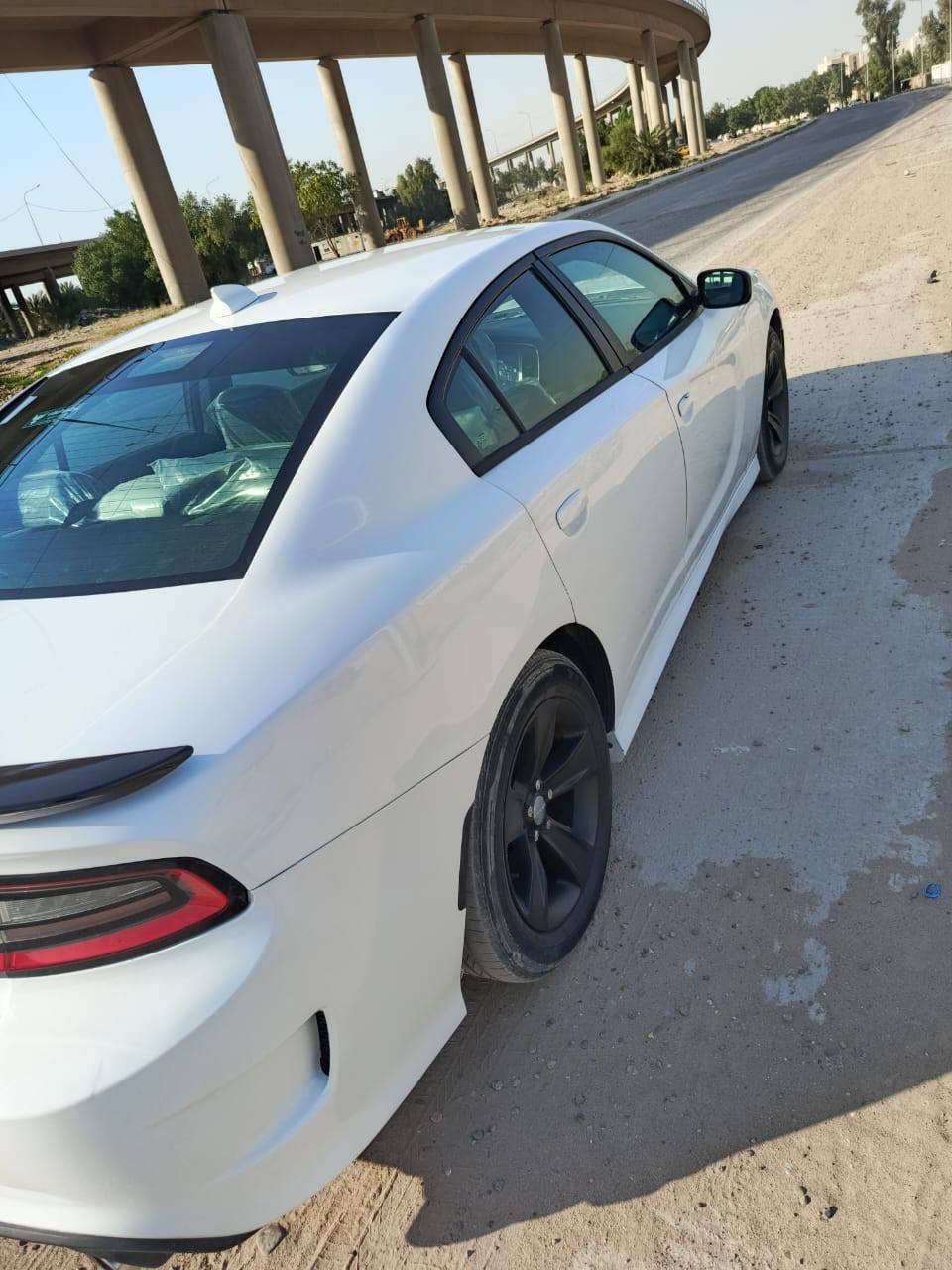 دوج جارجر 17اصل مو معلايه امريكي حادثها جاملغ ايسر وبنيد سياره مصبوغه احزام ماعده القماره اكفلهه من جفبه من كلبه مسبوغه احزام سبب مشكله عشاريه سياره انضربت وشخطت بس مابيهه لا تكم ولا قماره تو ويل مو فور ويل مكينه 3600
سعر145


**إذا كنت صاحب هذا الإعلان وتريد حذفه لأي سبب، رجاءا أرسل رسالة إلى الدعم الفني**