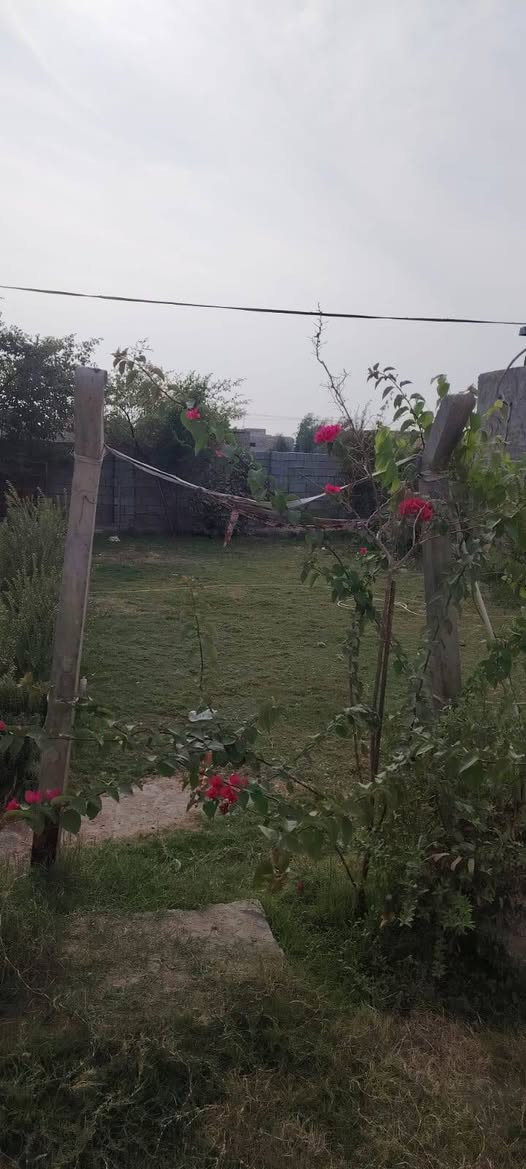 سلام عليكم من رخصت ابو الكروب بيت اللبيع طابو زراعي سند ٢٥ مساحة ٩٠٠م يتكون من ٣غرف نوم وصالة واستقبال ومطبخ وصحيات داخلية وخارجية خدمات كاملة كهرباء وماء اسألة وتبليط العنوان طريق السنية قرب معمل الألبان الاتصال على الرقم ***********
